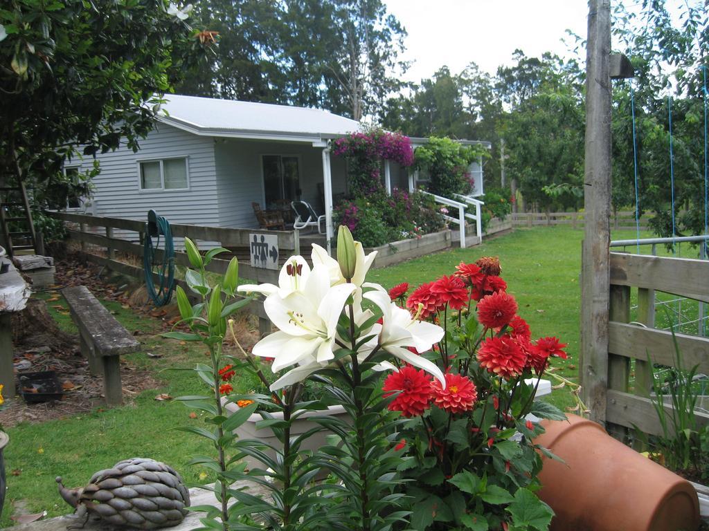 Miranda Orchard Cottage Exteriér fotografie