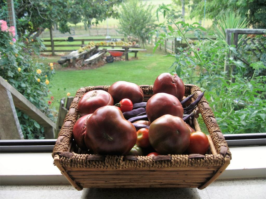 Miranda Orchard Cottage Exteriér fotografie