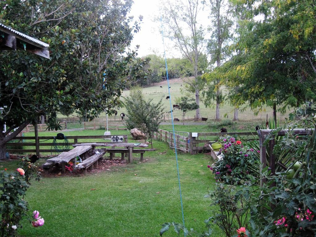 Miranda Orchard Cottage Exteriér fotografie